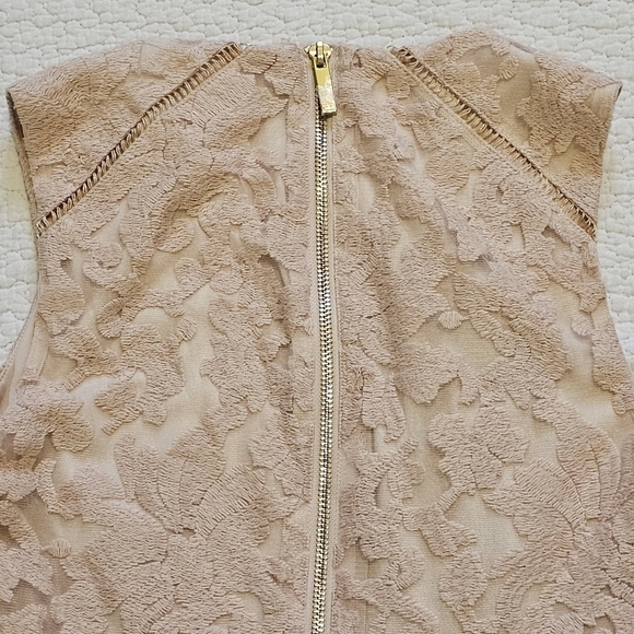 Rachel Roy Blush Lace Dress NWT - Picture 6 of 13